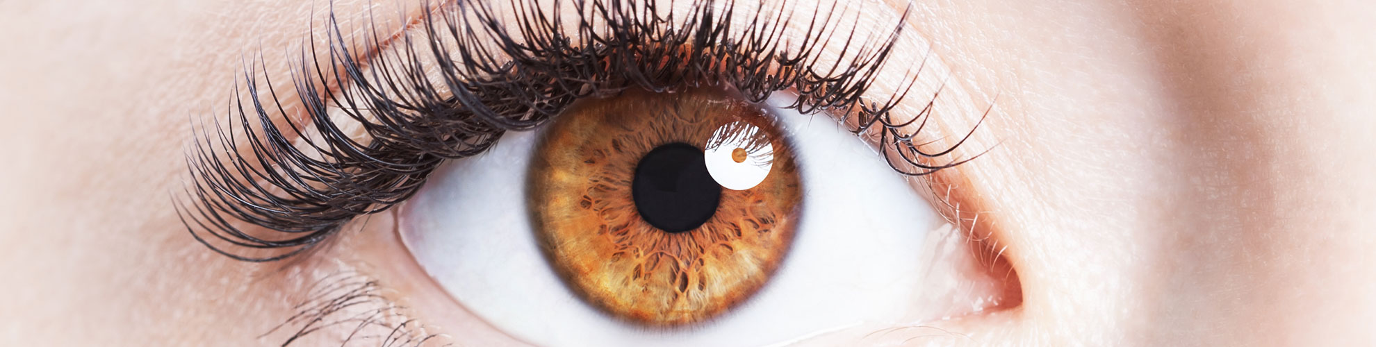 Mead Eye Care at Lillian Morano blog